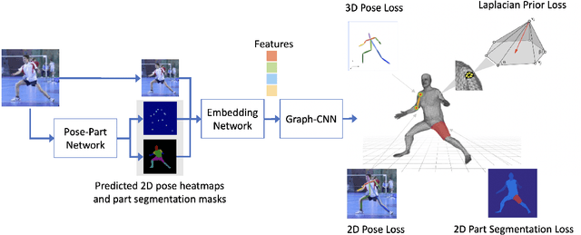 Figure 3 for Learning Nonparametric Human Mesh Reconstruction from a Single Image without Ground Truth Meshes