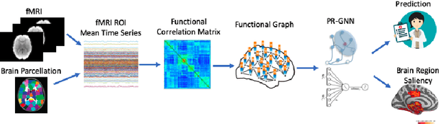 Figure 1 for Pooling Regularized Graph Neural Network for fMRI Biomarker Analysis