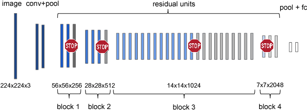 Figure 3 for Spatially Adaptive Computation Time for Residual Networks