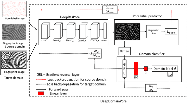 Figure 1 for Cross-sensor Pore Detection in High-resolution Fingerprint Images using Unsupervised Domain Adaptation