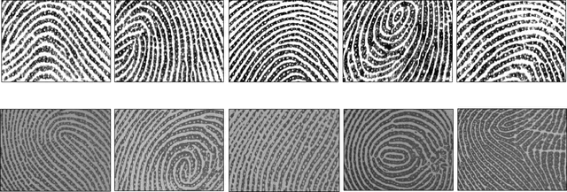 Figure 2 for Cross-sensor Pore Detection in High-resolution Fingerprint Images using Unsupervised Domain Adaptation