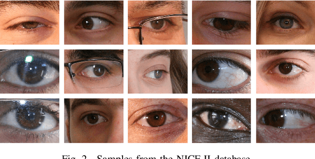 Figure 2 for The Impact of Preprocessing on Deep Representations for Iris Recognition on Unconstrained Environments