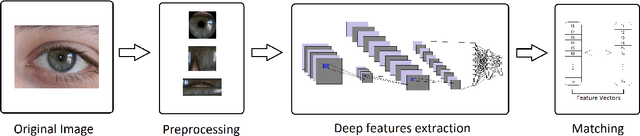 Figure 4 for The Impact of Preprocessing on Deep Representations for Iris Recognition on Unconstrained Environments