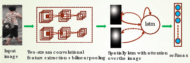 Figure 1 for Where to Focus: Deep Attention-based Spatially Recurrent Bilinear Networks for Fine-Grained Visual Recognition