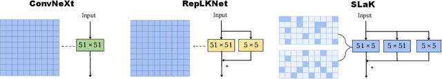 Figure 1 for More ConvNets in the 2020s: Scaling up Kernels Beyond 51x51 using Sparsity