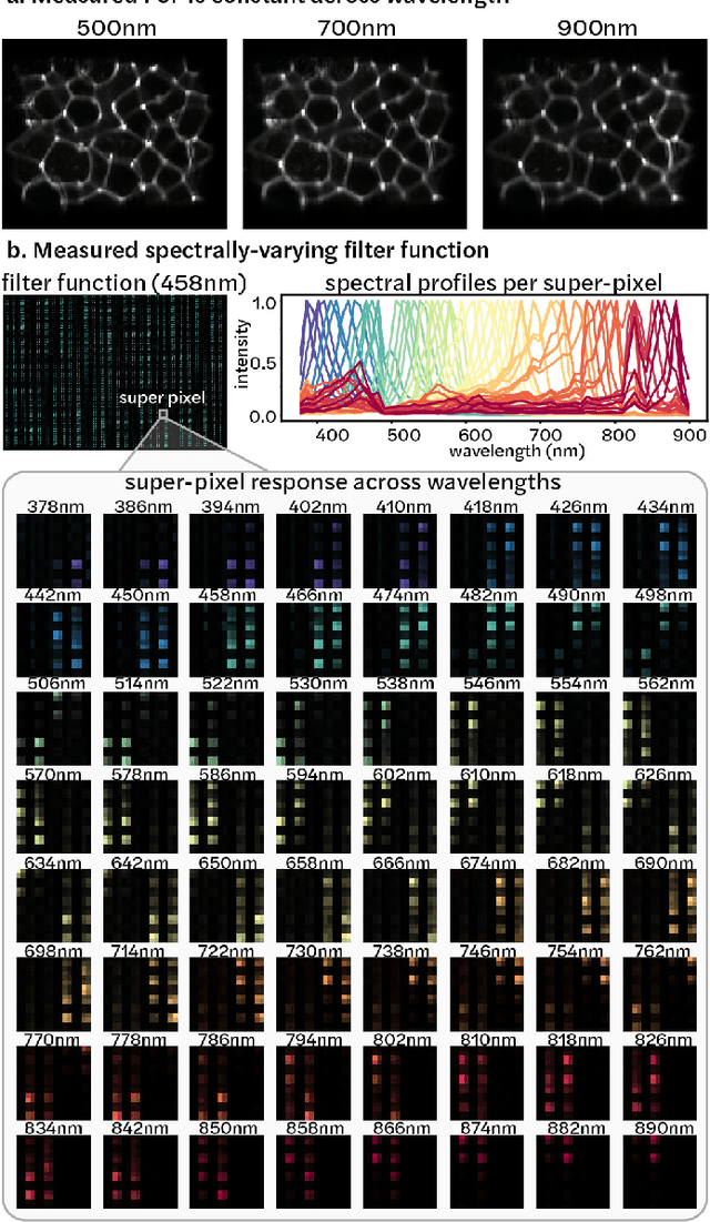 Figure 4 for Spectral DiffuserCam: lensless snapshot hyperspectral imaging with a spectral filter array