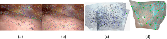 Figure 2 for Real-time Surface Deformation Recovery from Stereo Videos