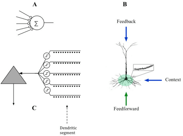Figure 1 for How do neurons operate on sparse distributed representations? A mathematical theory of sparsity, neurons and active dendrites