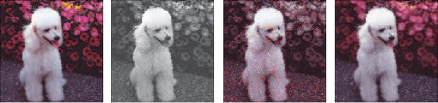 Figure 3 for Epitome for Automatic Image Colorization
