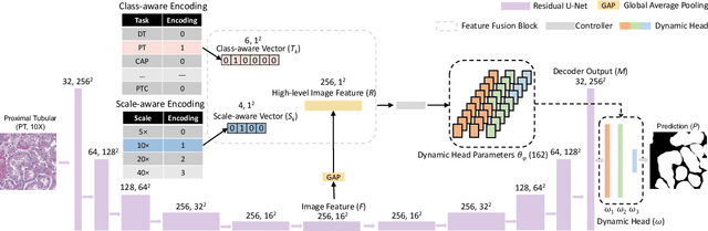 Figure 3 for Omni-Seg+: A Scale-aware Dynamic Network for Pathological Image Segmentation