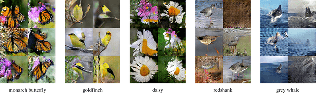 Figure 1 for Conditional Image Synthesis With Auxiliary Classifier GANs