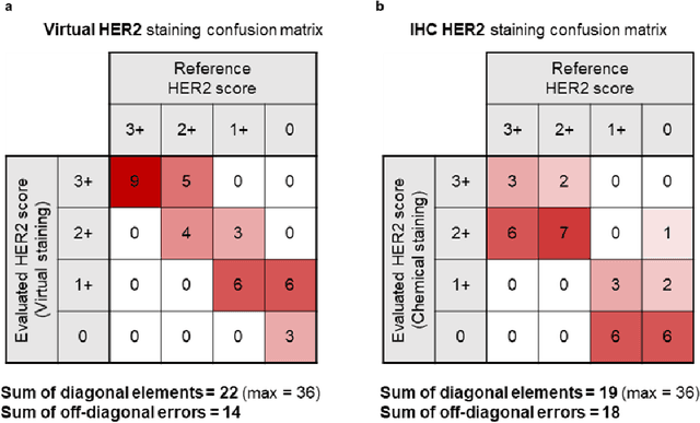 Figure 4 for Label-free virtual HER2 immunohistochemical staining of breast tissue using deep learning