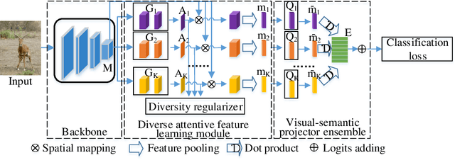 Figure 3 for Semantic-diversity transfer network for generalized zero-shot learning via inner disagreement based OOD detector