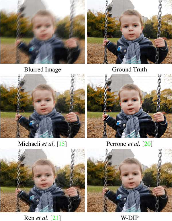 Figure 1 for Wiener Guided DIP for Unsupervised Blind Image Deconvolution
