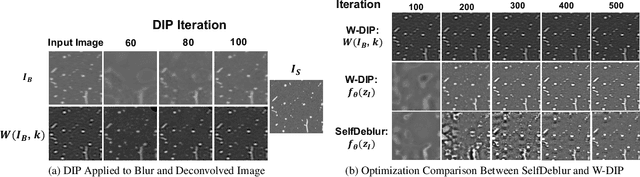 Figure 3 for Wiener Guided DIP for Unsupervised Blind Image Deconvolution