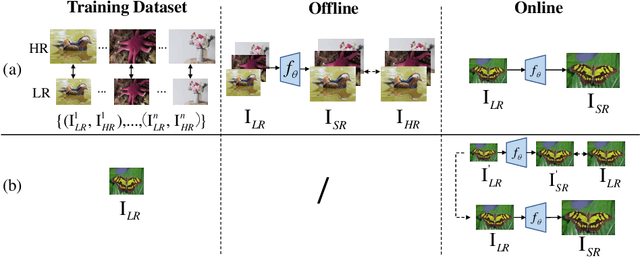Figure 3 for From General to Specific: Online Updating for Blind Super-Resolution