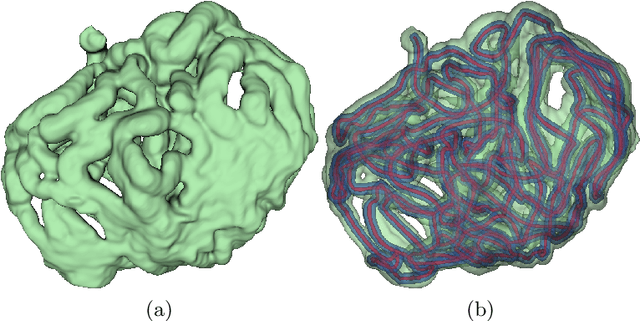 Figure 1 for Deep Small Bowel Segmentation with Cylindrical Topological Constraints
