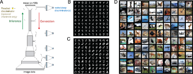 Figure 1 for An adversarial algorithm for variational inference with a new role for acetylcholine