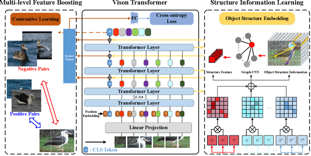 Figure 1 for SIM-Trans: Structure Information Modeling Transformer for Fine-grained Visual Categorization