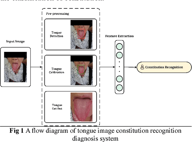 Figure 1 for Tongue image constitution recognition based on Complexity Perception method