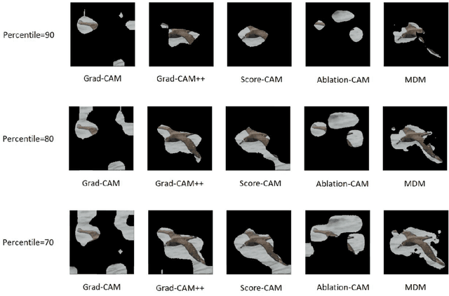 Figure 4 for MDM:Visual Explanations for Neural Networks via Multiple Dynamic Mask