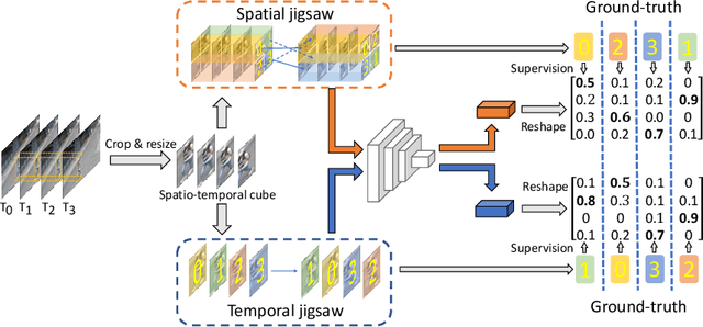 Figure 3 for Video Anomaly Detection by Solving Decoupled Spatio-Temporal Jigsaw Puzzles