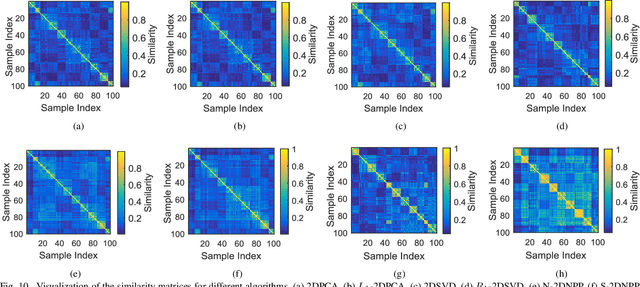 Figure 2 for Robust Tensor Decomposition for Image Representation Based on Generalized Correntropy