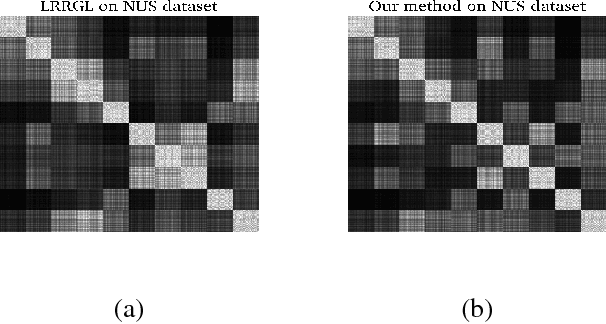 Figure 1 for Multi-View Spectral Clustering via Structured Low-Rank Matrix Factorization