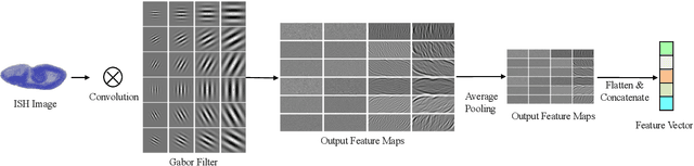 Figure 4 for Deep Low-Shot Learning for Biological Image Classification and Visualization from Limited Training Samples
