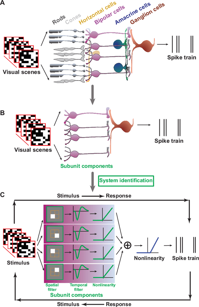 Figure 1 for Neural System Identification with Spike-triggered Non-negative Matrix Factorization