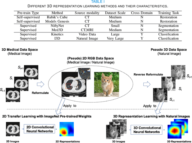 Figure 3 for Advancing 3D Medical Image Analysis with Variable Dimension Transform based Supervised 3D Pre-training