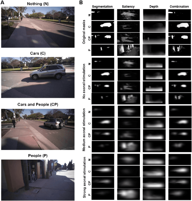 Figure 4 for Deep Learning--Based Scene Simplification for Bionic Vision