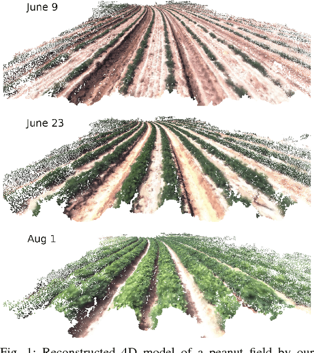Figure 1 for 4D Crop Monitoring: Spatio-Temporal Reconstruction for Agriculture