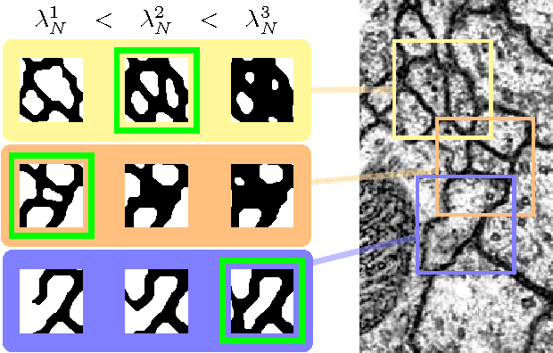 Figure 2 for Multi-Hypothesis CRF-Segmentation of Neural Tissue in Anisotropic EM Volumes