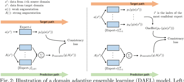 Figure 3 for Domain Adaptive Ensemble Learning