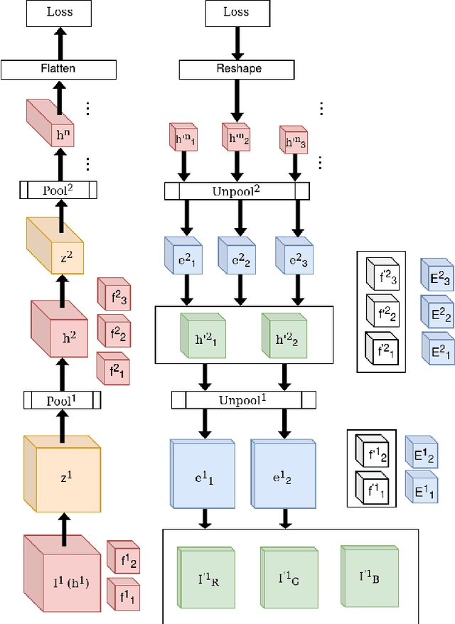 Figure 1 for A Robust Backpropagation-Free Framework for Images