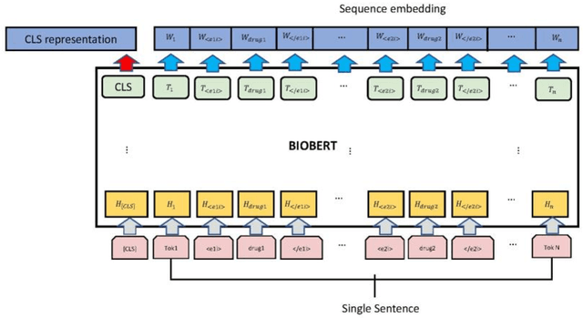 Figure 2 for EGFI: Drug-Drug Interaction Extraction and Generation with Fusion of Enriched Entity and Sentence Information