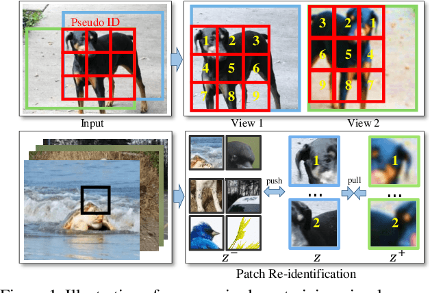 Figure 1 for Unsupervised Pretraining for Object Detection by Patch Reidentification