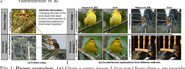 Figure 1 for Making Heads or Tails: Towards Semantically Consistent Visual Counterfactuals