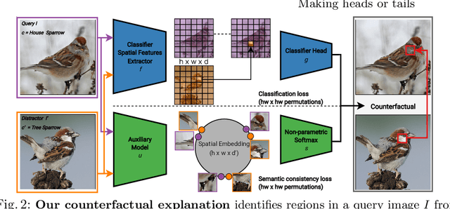 Figure 2 for Making Heads or Tails: Towards Semantically Consistent Visual Counterfactuals