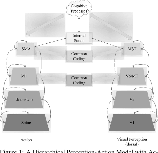 Figure 1 for A Hierarchical Emotion Regulated Sensorimotor Model: Case Studies