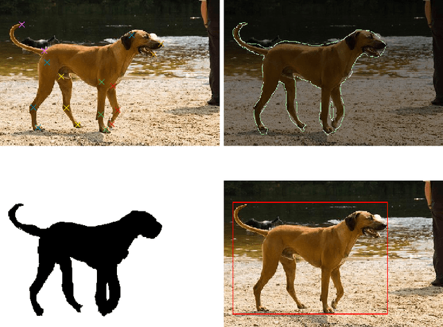 Figure 1 for Video-based estimation of pain indicators in dogs