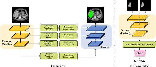Figure 1 for Class-Aware Generative Adversarial Transformers for Medical Image Segmentation