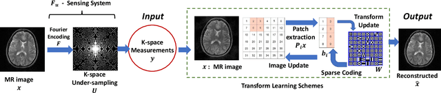 Figure 3 for Transform Learning for Magnetic Resonance Image Reconstruction: From Model-based Learning to Building Neural Networks
