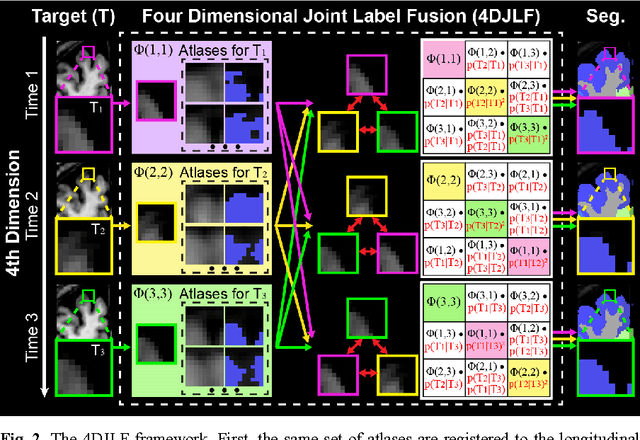 Figure 2 for 4D Multi-atlas Label Fusion using Longitudinal Images