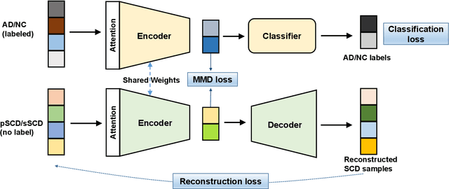 Figure 2 for Attention-Guided Autoencoder for Automated Progression Prediction of Subjective Cognitive Decline with Structural MRI