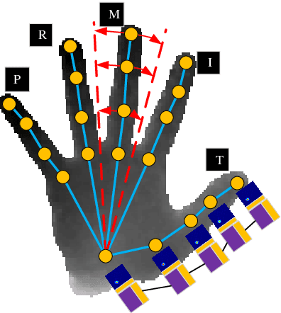 Figure 3 for HMTNet:3D Hand Pose Estimation from Single Depth Image Based on Hand Morphological Topology