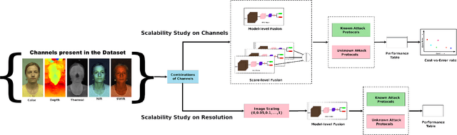 Figure 3 for A Comprehensive Evaluation on Multi-channel Biometric Face Presentation Attack Detection