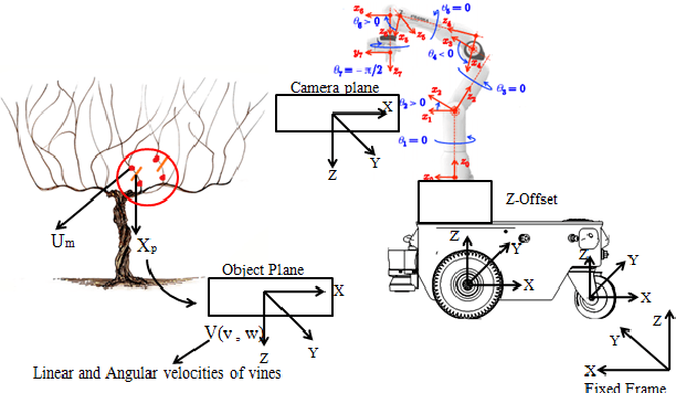 Figure 4 for Reproducible Pruning System on Dynamic Natural Plants for Field Agricultural Robots