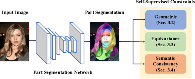 Figure 2 for SCOPS: Self-Supervised Co-Part Segmentation